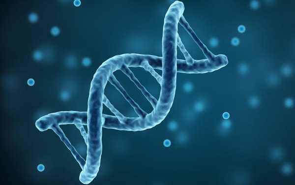 Gen di truyền là nguyên nhân chiếm 50% yếu tố gây ra bệnh tổ đỉa